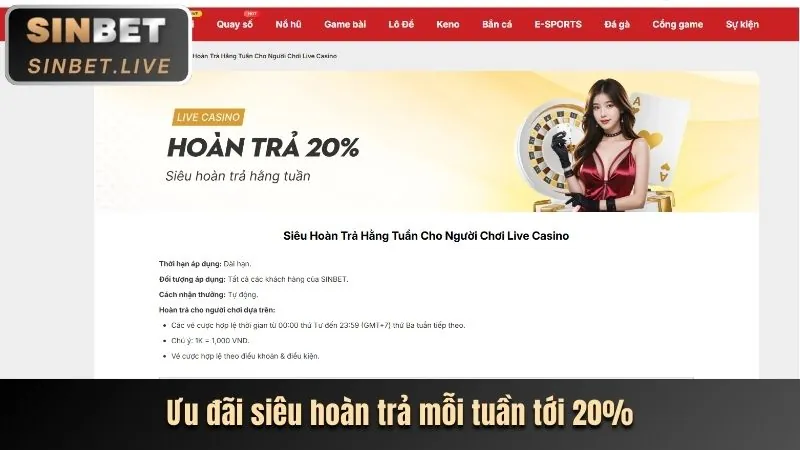 Hoàn trả casino tại 88xx trang điều hướng